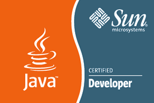 Marek Publicewicz - Sun Certified Java Developer (2010)